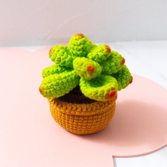 Mini Crochet Succulent