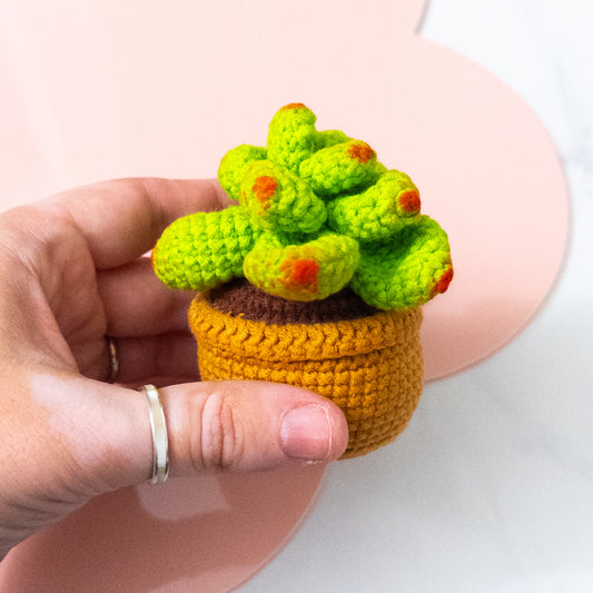 Mini Crochet Succulent